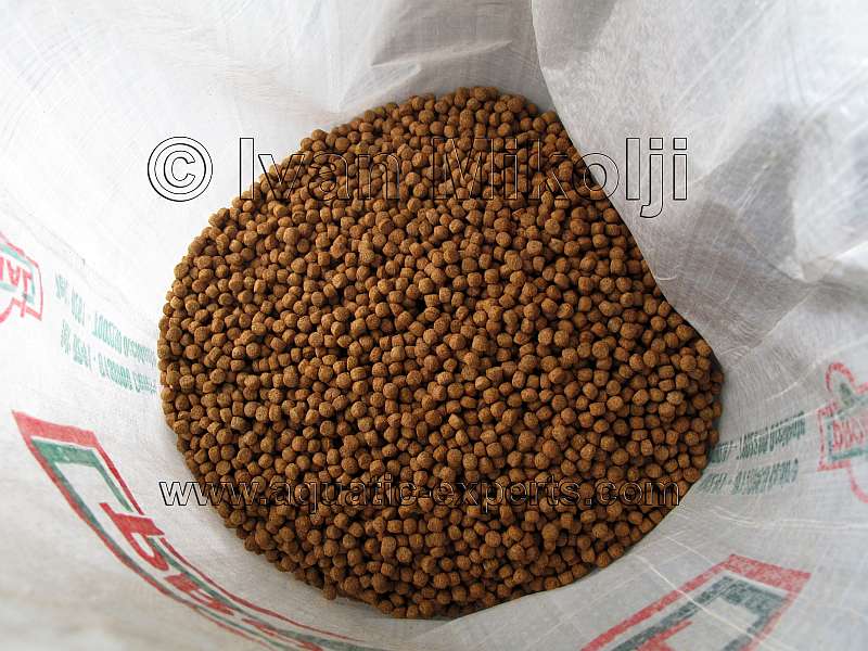 Acuicultura en Venezuela PROTINAL 2